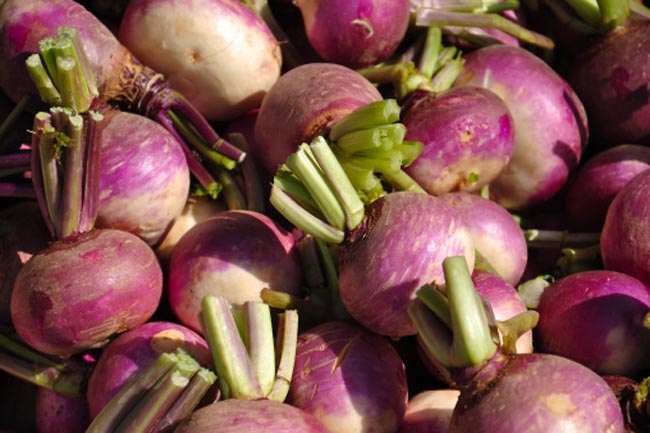 why-you-should-have-a-daily-dose-of-turnip-in-hindi